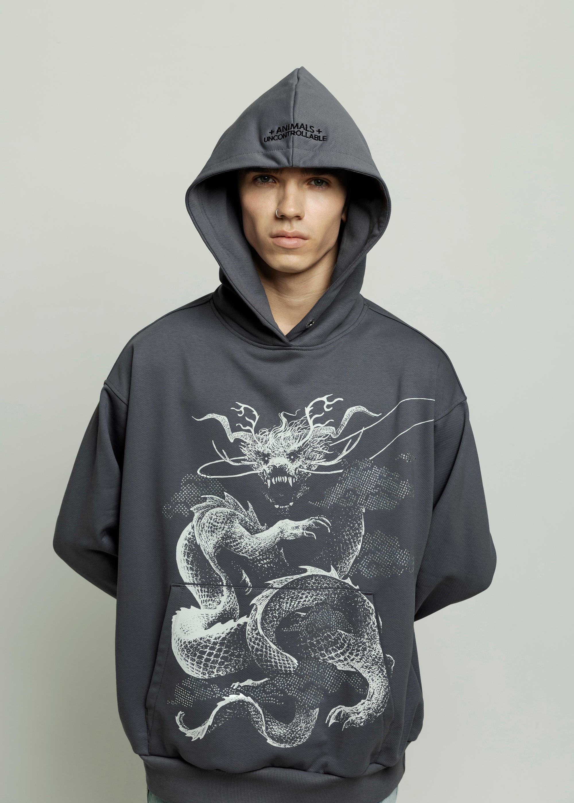 SAMPLE DRAGON grey hoodie BEZ KRYSZTAŁKÓW